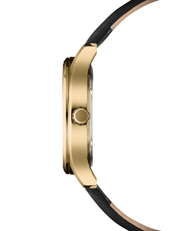 Swiss Military SM34116.07 боковой вид золотого PVD корпуса